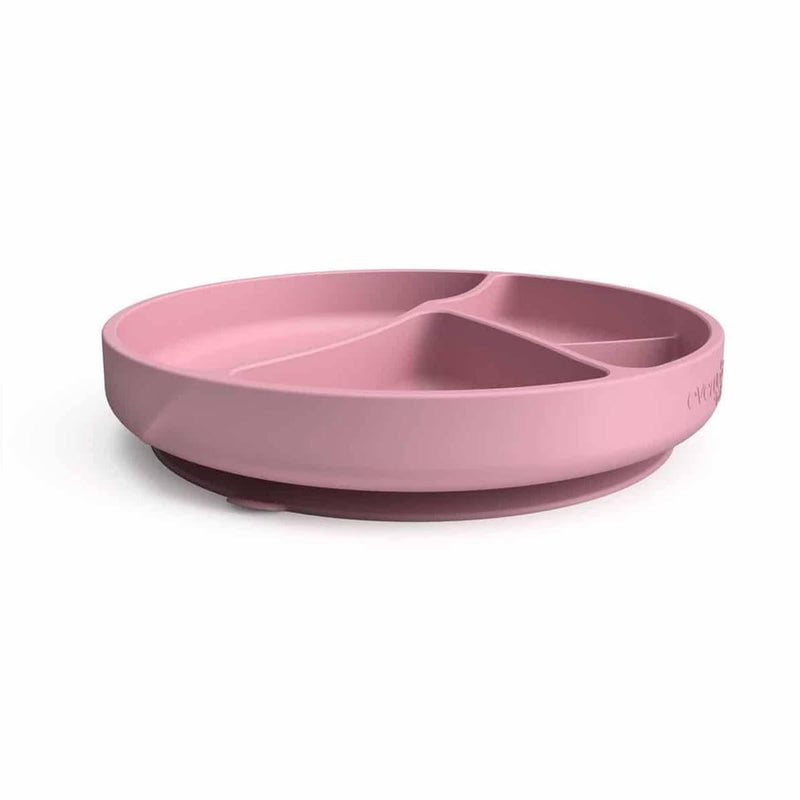 Pratinho Buba Em Silicone Com Ventosa +6M