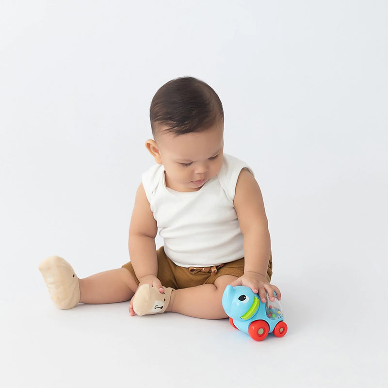 Carrinho Chocalho Pimpolho +6 Meses