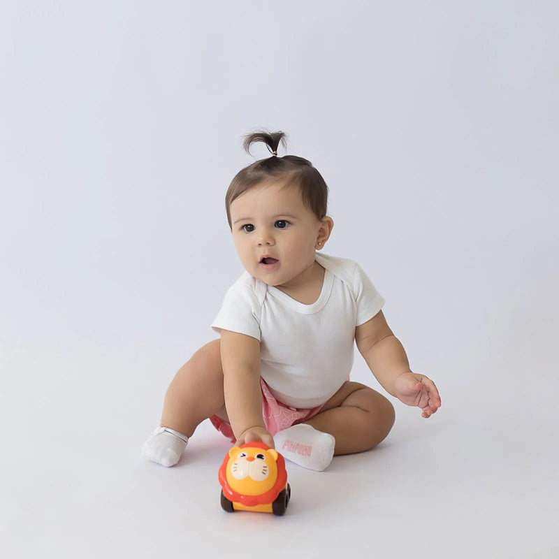 Carrinho Chocalho Pimpolho +6 Meses