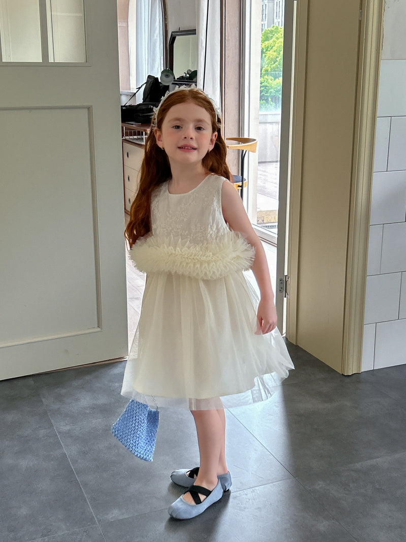 Vestido Infantil Bordado com Tule