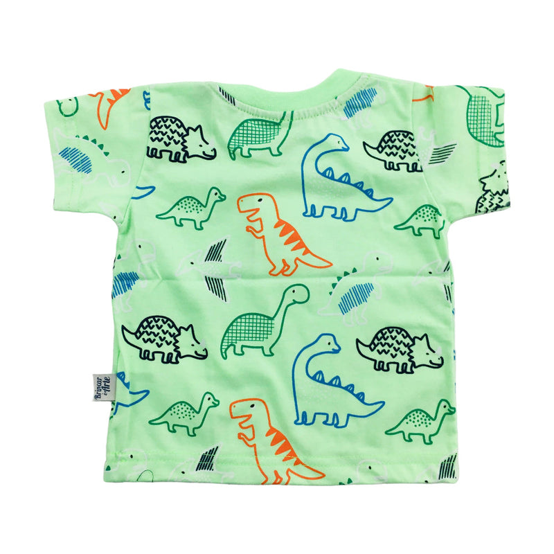 Camiseta Brincar E Arte Dinos Meia Malha