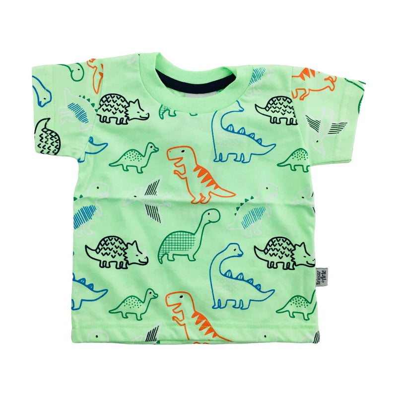 Camiseta Brincar E Arte Dinos Meia Malha