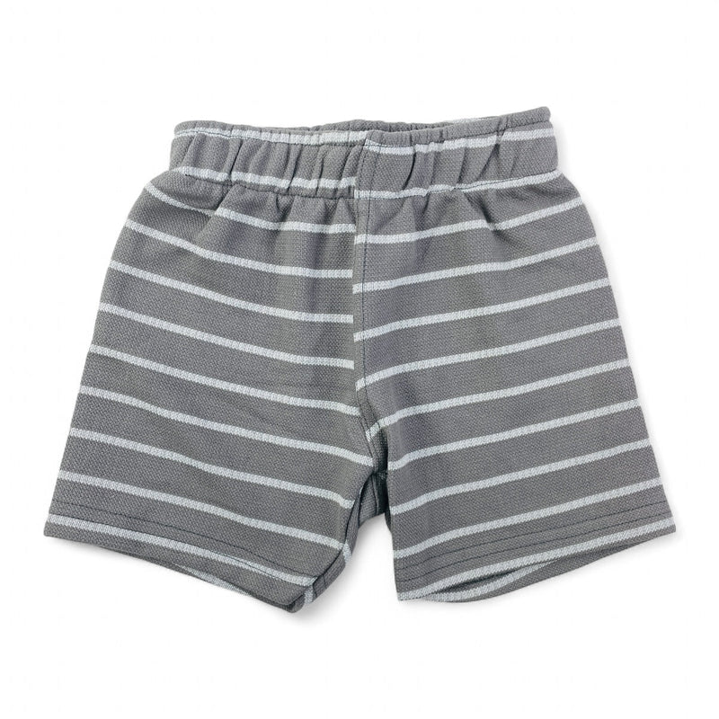 Conjunto Pulla Bulla Infantil com Estampa de Ursinhos e Bermuda Listrada