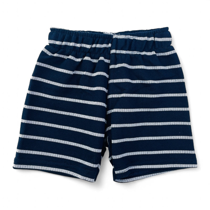 Conjunto Pulla Bulla Infantil com Estampa de Ursinhos e Bermuda Listrada