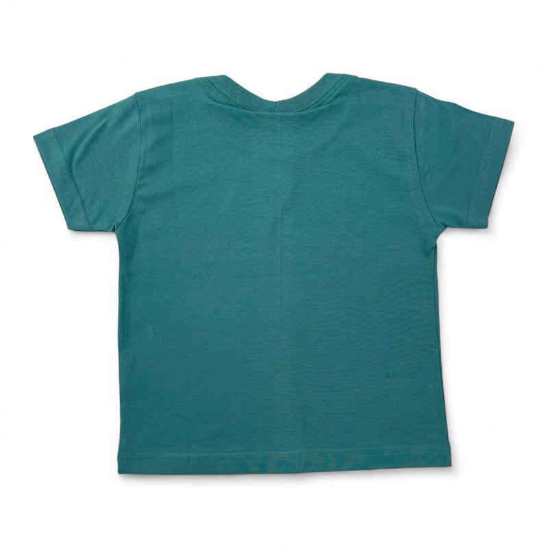 Camiseta Pulla Bulla Infantil Estampa Praia Menino
